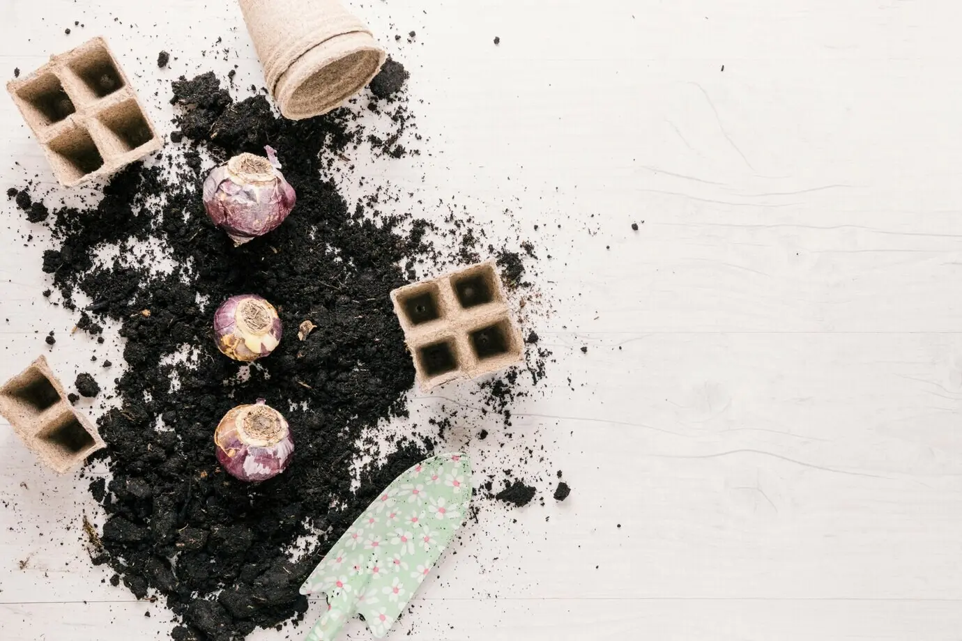 Torfschale; Torftopf; Zwiebel; Schaufel und Erde auf einem Holztisch